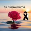 rosamanuel20212023 - @rosamanuel20212023 - TikTok
