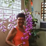 Rosa Marques - @rosart31 - Instagram