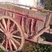Santa Rosa-25 de Mayo - Facebook