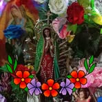 Rosa Mcbride - Facebook
