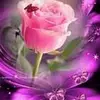 rose mccray - @rosemccray8 - TikTok
