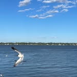 Rosa Margarita McDowell - @wickedpix16 - Instagram