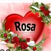 rosa - @rosamera165 - TikTok