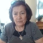 Rosa Di Modica - @modicarosadi - Instagram