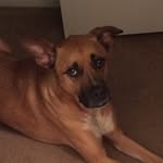 Rosa Modica - @roromodica - Instagram