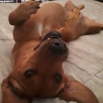 Rosa Modica - @rosa.modica.798 - Instagram