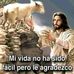 Rosa Moncada - Facebook