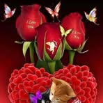 Rosa Morgan - Facebook