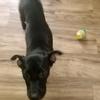 user4045229779434 - @rosamorgan2012 - TikTok