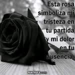 Rosa Moye Ito - @rosamoyeito8 - Instagram