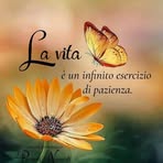 Rosa Napoli - Facebook