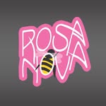 Rosa Nova - @akademia_rosa_nova - Instagram