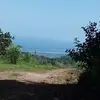 rosaosegueda34 - @rosaosegueda34 - TikTok