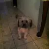 Rosa Otero - @rosa.otero81 - TikTok