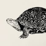 Rosa Page - @rosapageart - Instagram