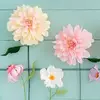 Rosa Page - @rosapage - TikTok