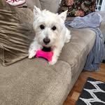 Rosa Marie Patton - @rosa.patton.37 - Instagram