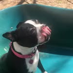 Rosa Patton Foust - @rosapattonfoust - Instagram