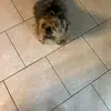 rosa payne - @rosa.payne4 - TikTok