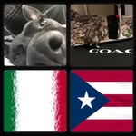 Rosa & Pepper - @rosa__pepper - Instagram