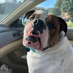 Rose Perdue - Facebook