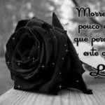 Rosa Ponte - @rosaponte62 - Instagram