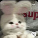 @_rosa_potter_ - Instagram