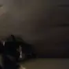 Rosa Preston826 - @rosapreston826 - TikTok