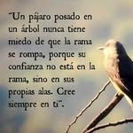 Rosa Quijada - @rosa.quijada.1042 - Instagram
