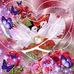 Rosa Elizabeth Quiroa - Facebook