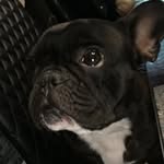 Rosa Quiroga - @rosa.juana.quiroga - Instagram