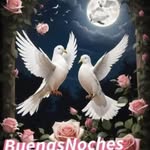 Rosa Riera - @rosariera47 - Instagram