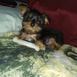 Rosa Robertson - @rosa.robertson.58 - Instagram