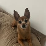 Rosa Otero Ruano - @m.mgggdrhv - Instagram