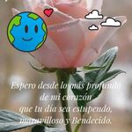 Rosa Ruano - @rosaruano - Instagram