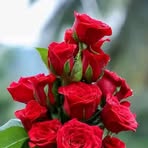 Rosa Samson - Facebook