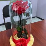 _Rosa encantada_ - @rosascali_ - Instagram