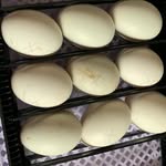 @rosa_smallholding - Instagram
