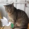 Rosalia Spivey - @rosalia.spivey - TikTok