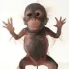 Rosie - @rosanna_stevenson - TikTok