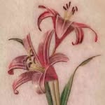Rose Stover - @countrygirl_roseunicorn - Instagram
