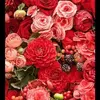 Rosalie Strunk837 - @rosaliestrunk837 - TikTok