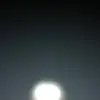 rosatanner7 - @rosatanner7 - TikTok