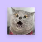 Rosa Tedesco - @rosa.tedesco.9083 - Instagram