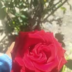 Rosa Teran - Facebook