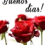 Rosa Teran - @rosateran49 - Instagram
