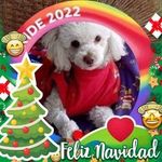 Rosa Terrones - @rosa.terrones.564 - Instagram