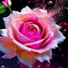 Rosa Vaca - @rosa.vaca1 - TikTok