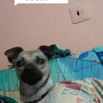 Rosa Vaca Hernández - @rosavacahernandez - Instagram