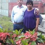 Rosa Vaca Rios - @rosavacarios - Instagram